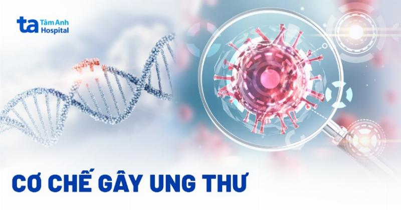 Tac dong hinh anh thien nhien 3d den tam ly, suc khoe tinh than, giam cang thang lo au bang anh 3d